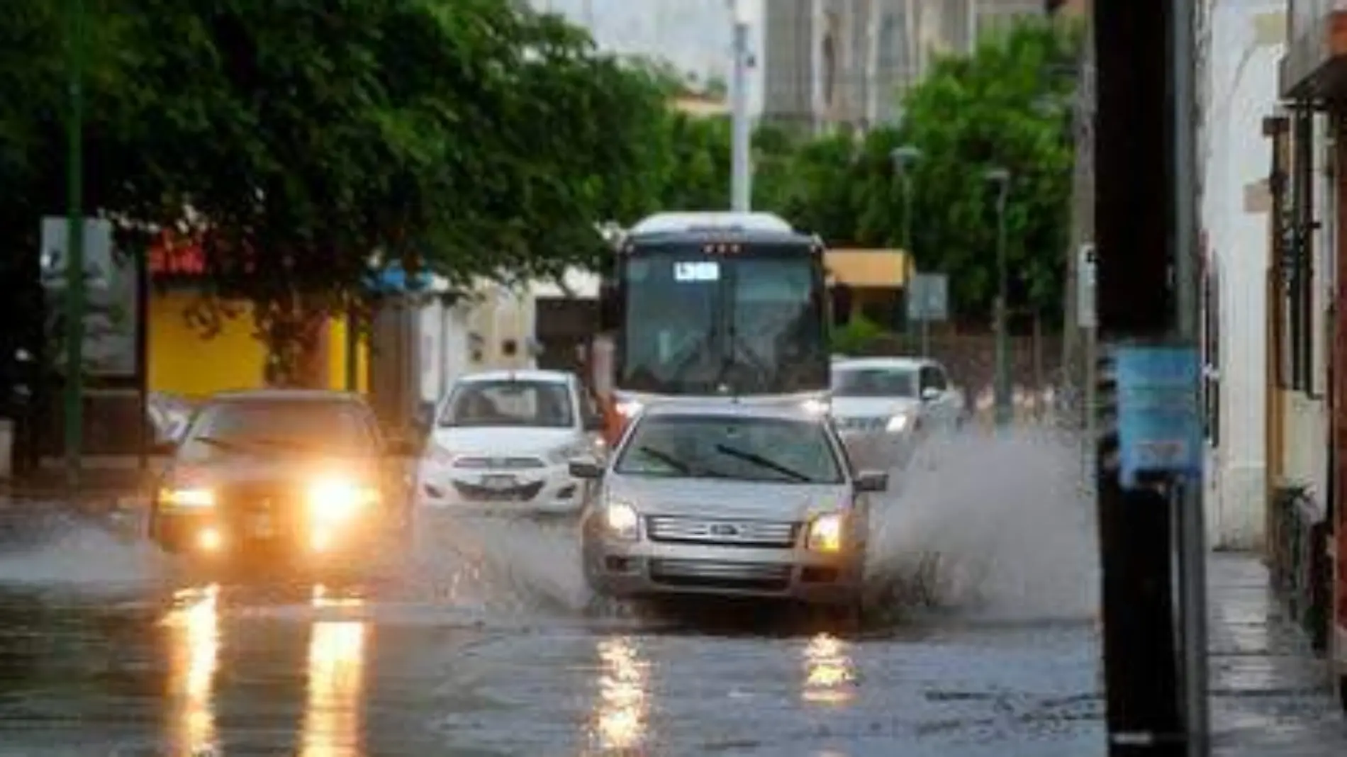 lluvia 11 - Omar